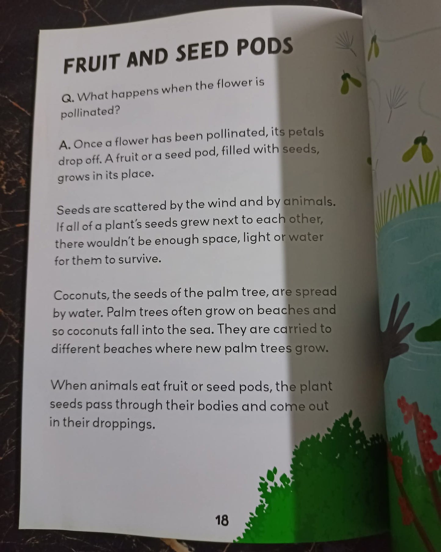 Q/A KIDS (PLANTS)