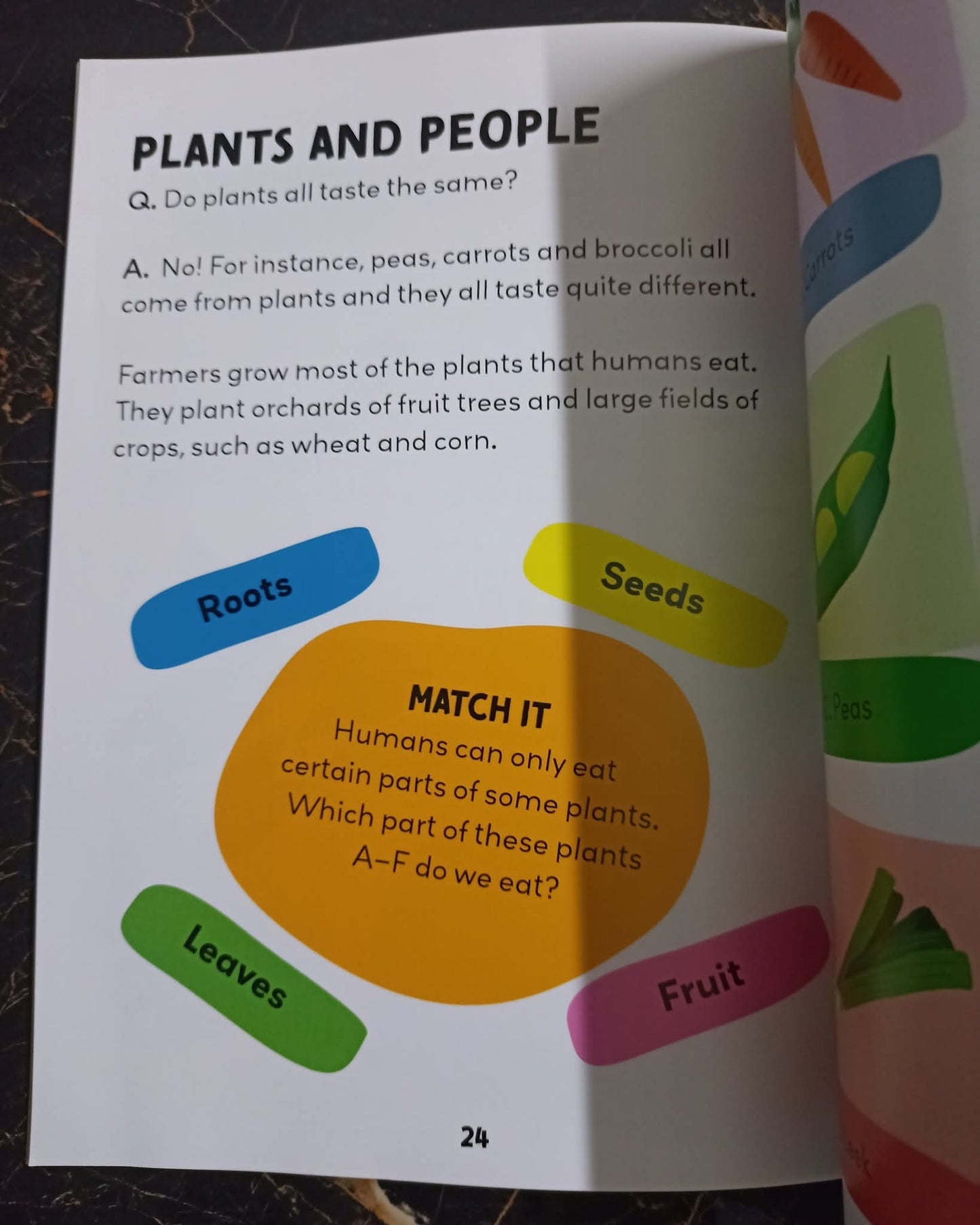 Q/A KIDS (PLANTS)