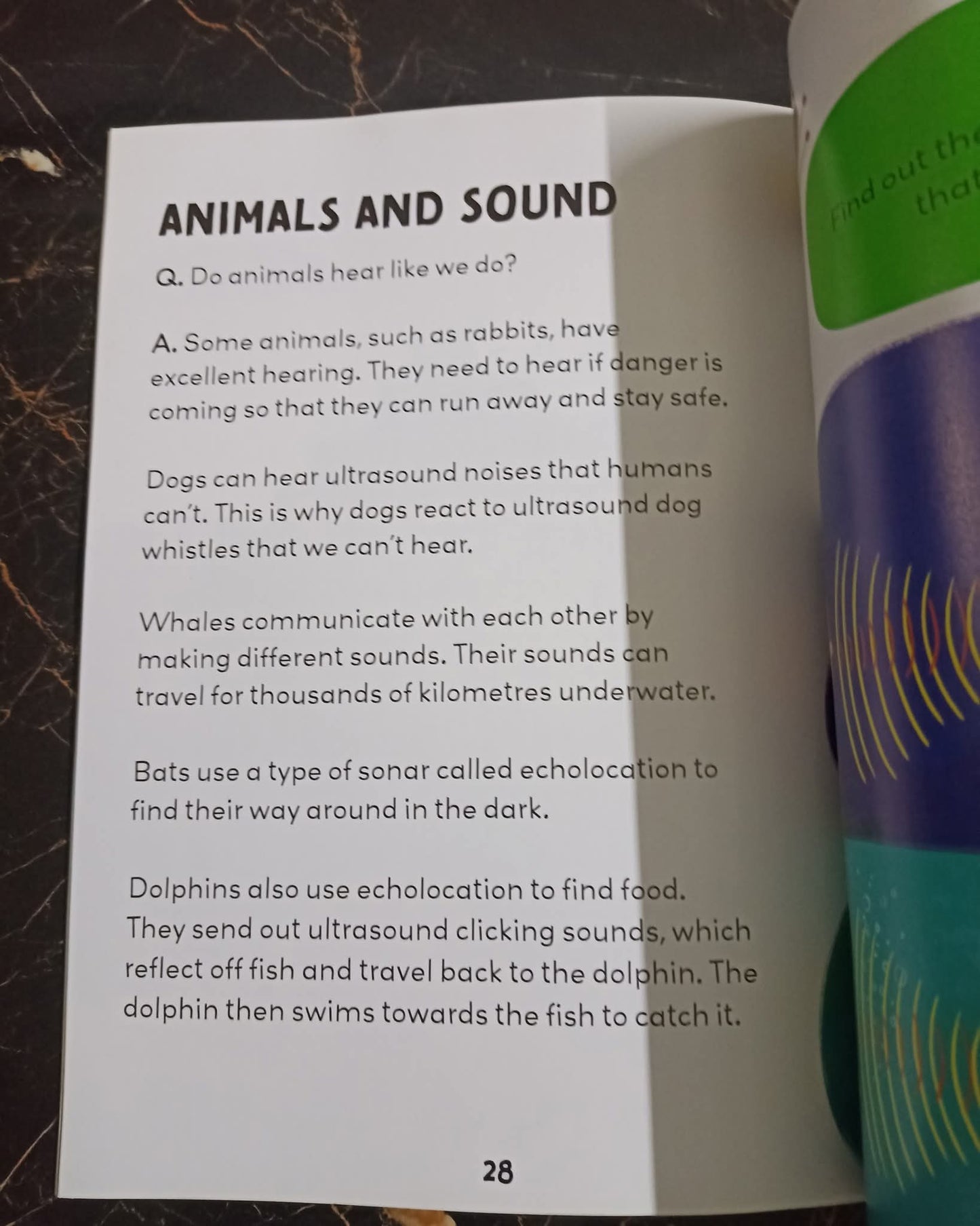 Q/A KIDS (SOUND)