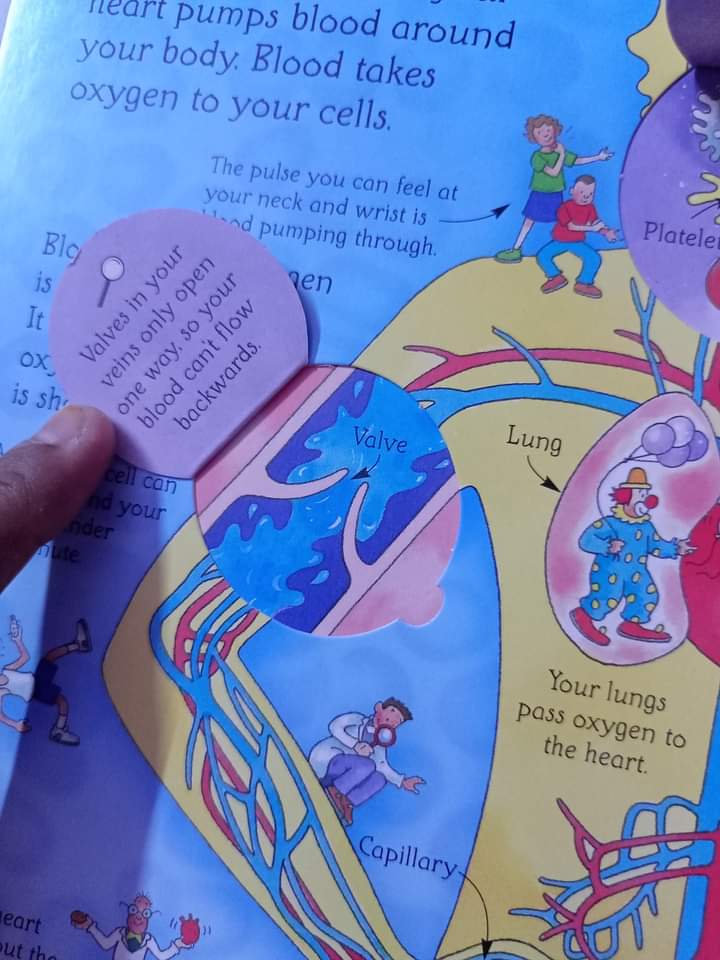 USBORNE LIFT THE FLAP SEE INSIDE YOUR BODY