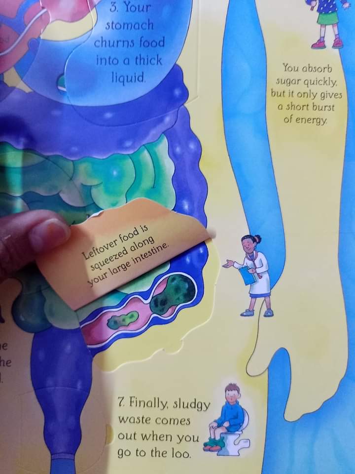 USBORNE LIFT THE FLAP SEE INSIDE YOUR BODY