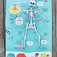 USBORNE LIFT THE FLAP BOOK HOW YOUR BODY WORKS