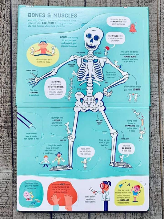 USBORNE LIFT THE FLAP BOOK HOW YOUR BODY WORKS