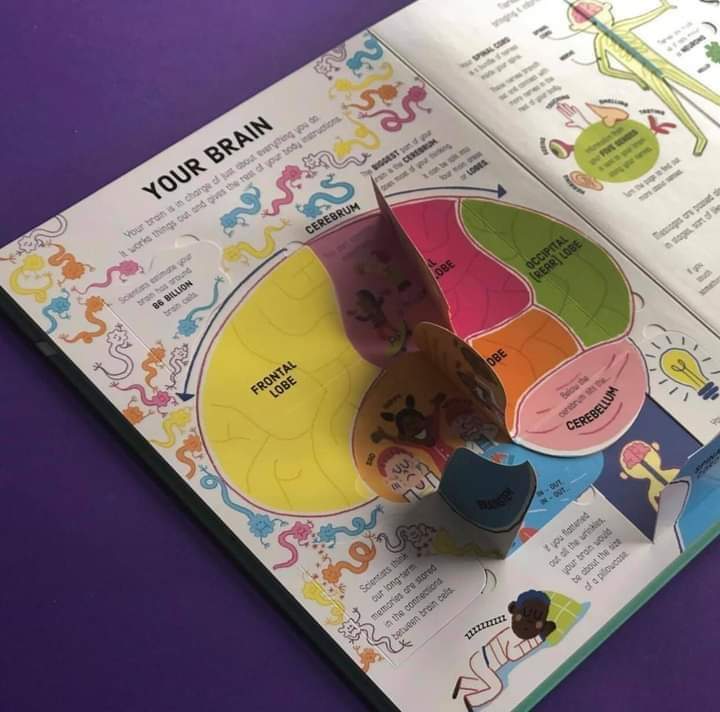 USBORNE LIFT THE FLAP BOOK HOW YOUR BODY WORKS