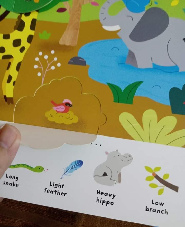 USBORNE LIFT THE FLAP SIZES AND MEASURING