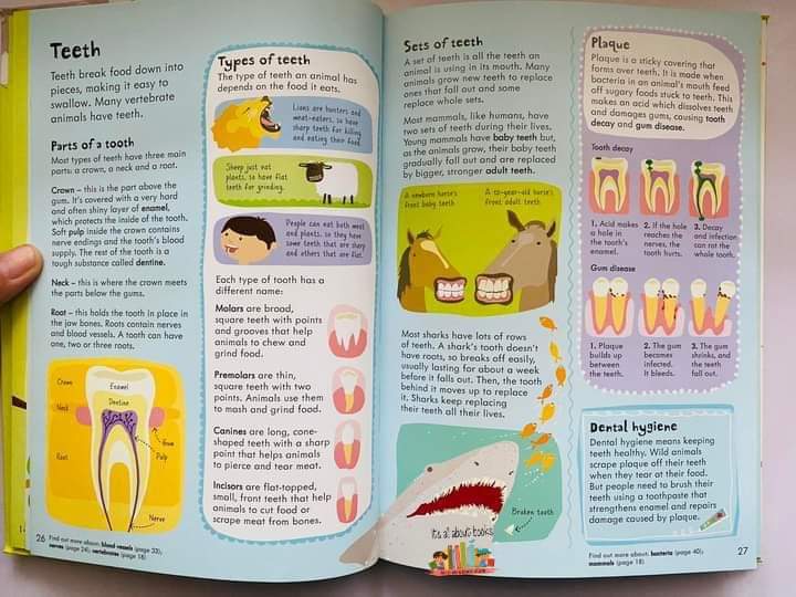 JUNIOR ILLUSTRATED SCIENCE DICTIONARY