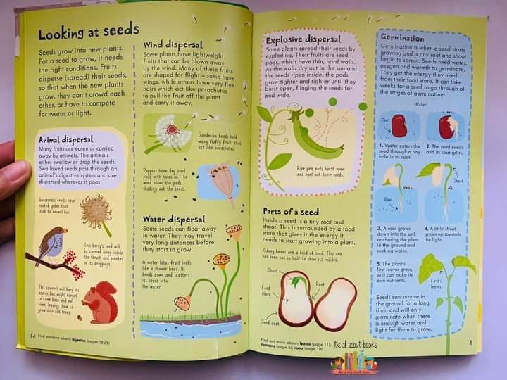 JUNIOR ILLUSTRATED SCIENCE DICTIONARY