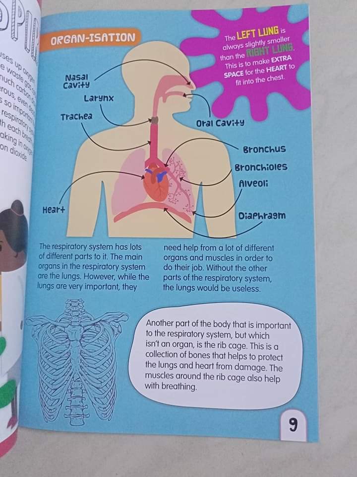 JOURNEY THROUGH HUMAN BODY LAUGHING LUNGS