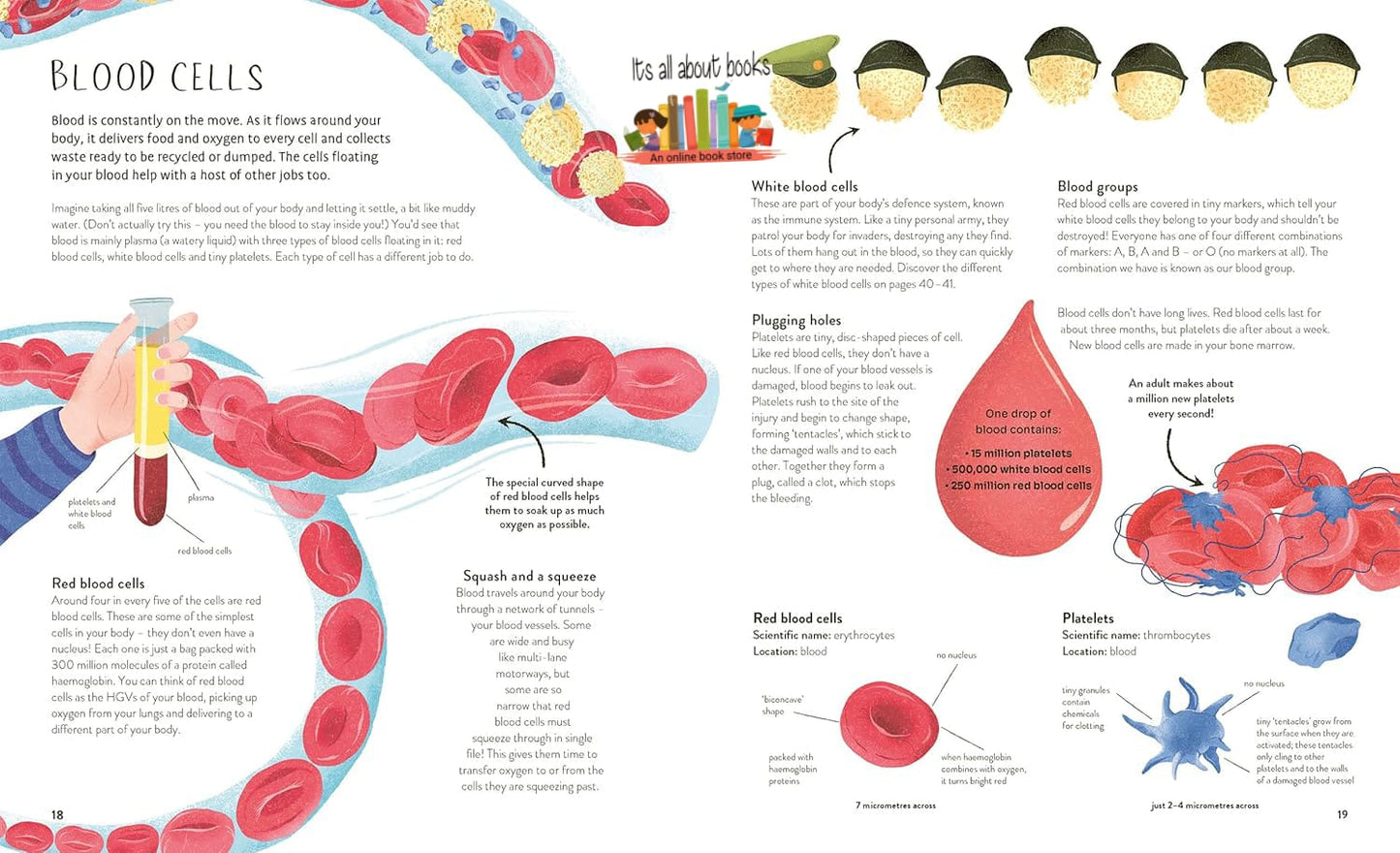 THIRTY TRILLION CELLS