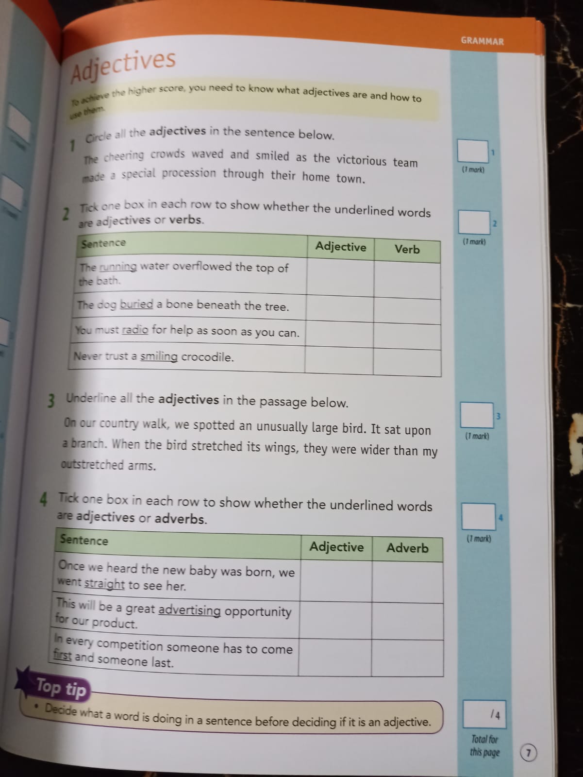 GRAMMAR, SPELLING AND PUNCTUATION