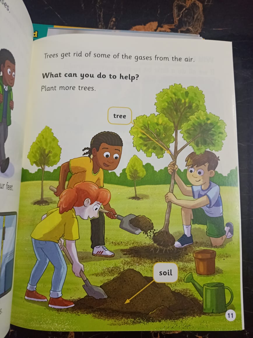 BOOK BAG BOOKS LEVEL 6