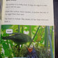 BOOK BAG BOOKS LEVEL 6