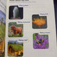 BOOK BAG BOOKS LEVEL 6