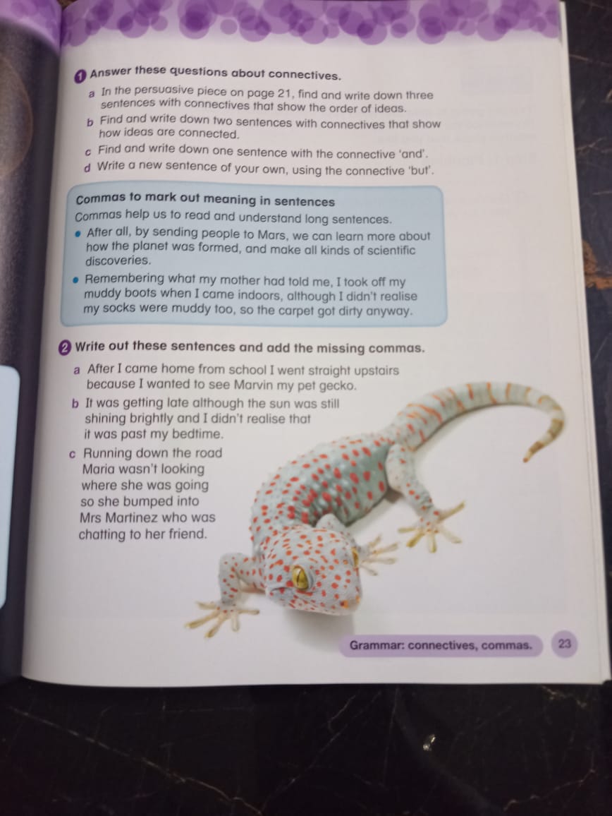 Collins International Primary English – Student’s Book 4