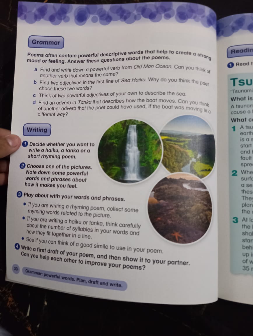 Collins International Primary English – Student’s Book 4