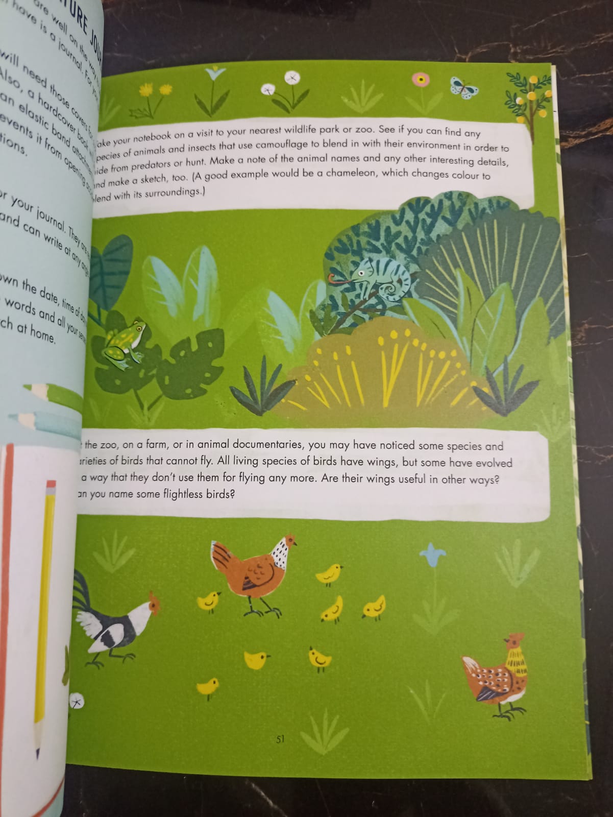 Evolution Colouring and Activity Book