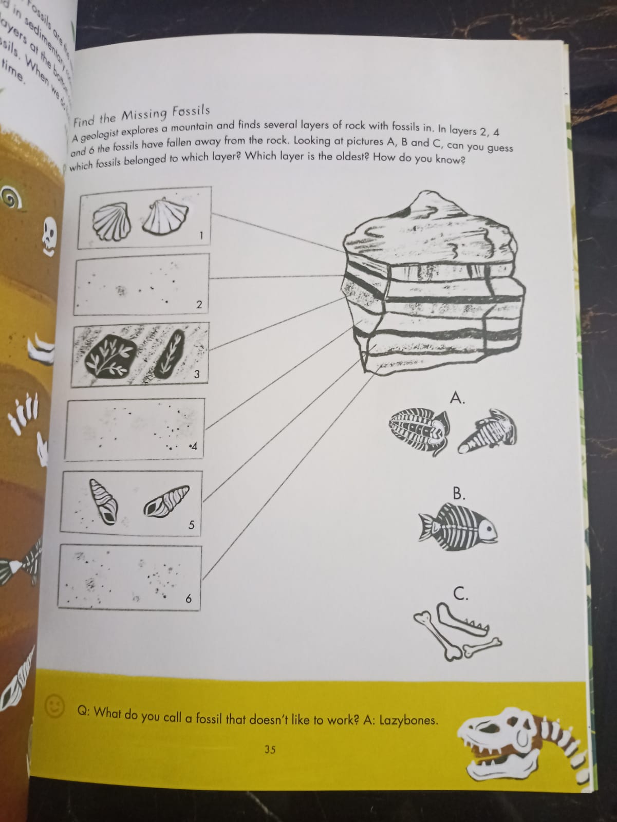 Evolution Colouring and Activity Book