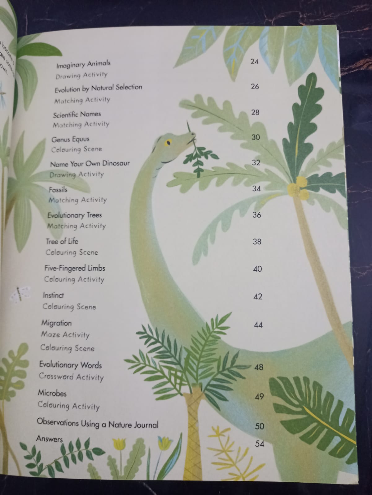 Evolution Colouring and Activity Book