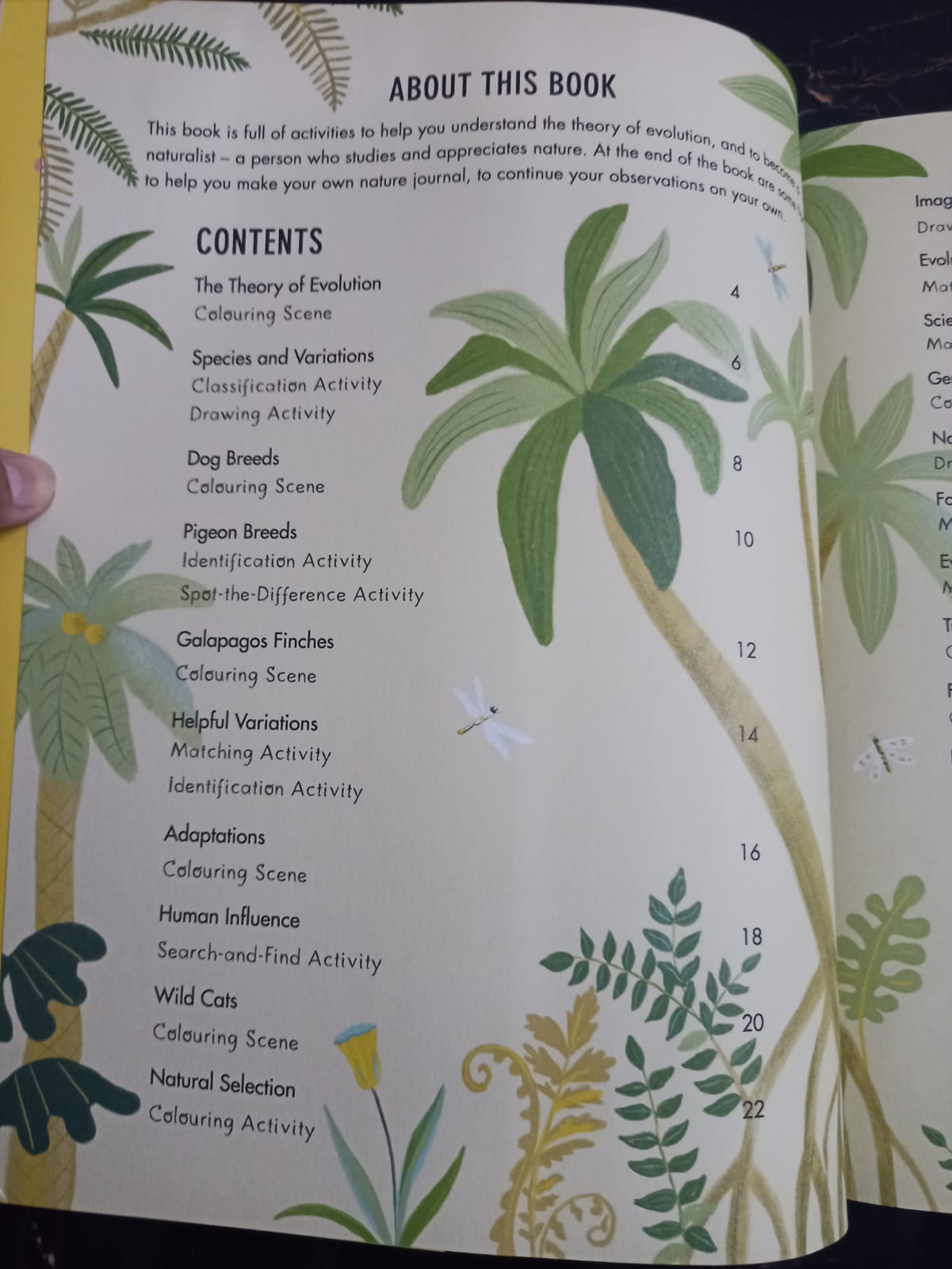 Evolution Colouring and Activity Book