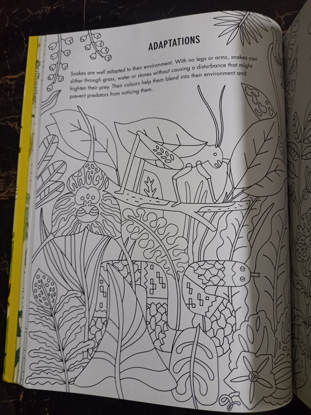 Evolution Colouring and Activity Book