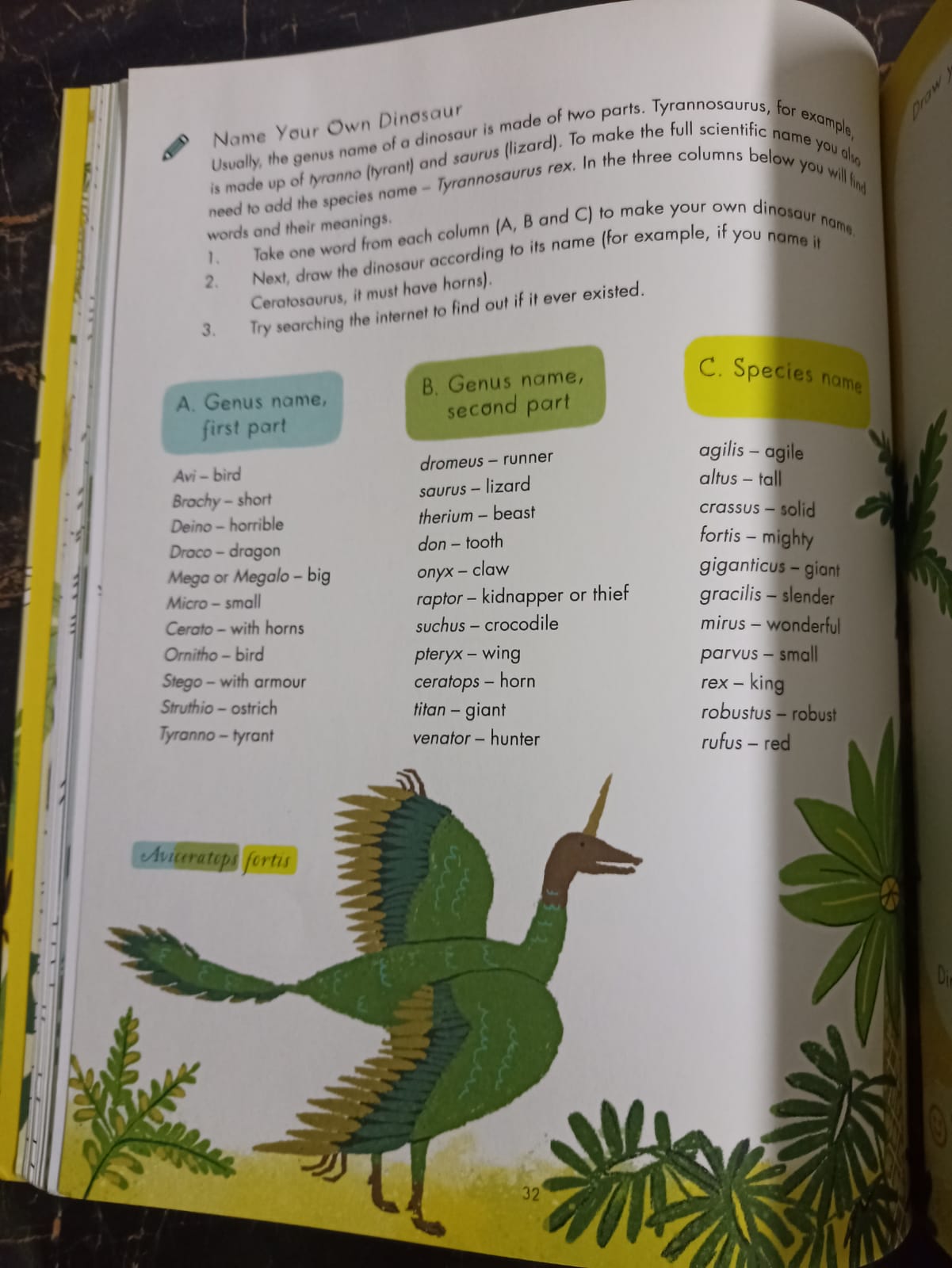 Evolution Colouring and Activity Book