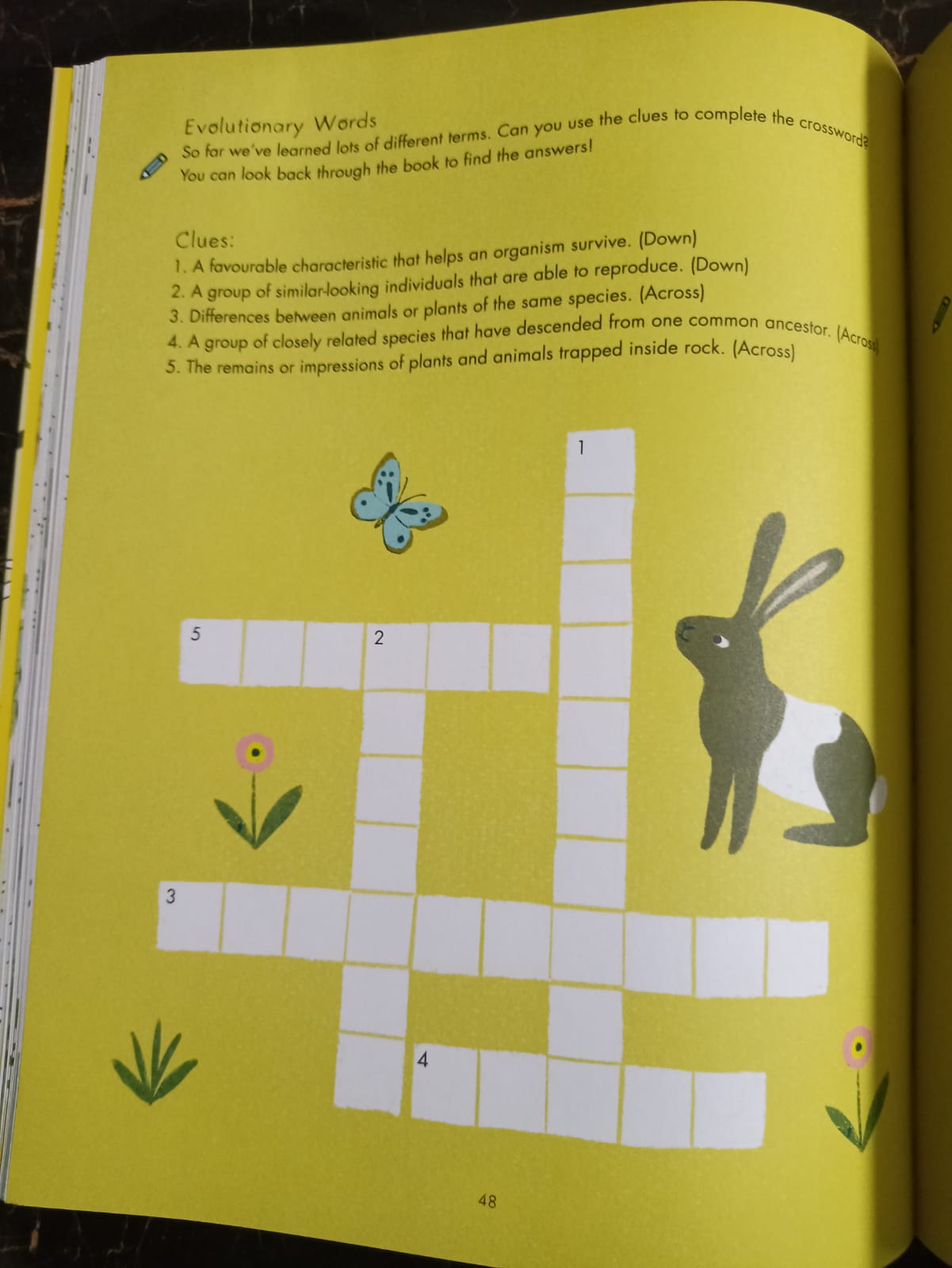 Evolution Colouring and Activity Book