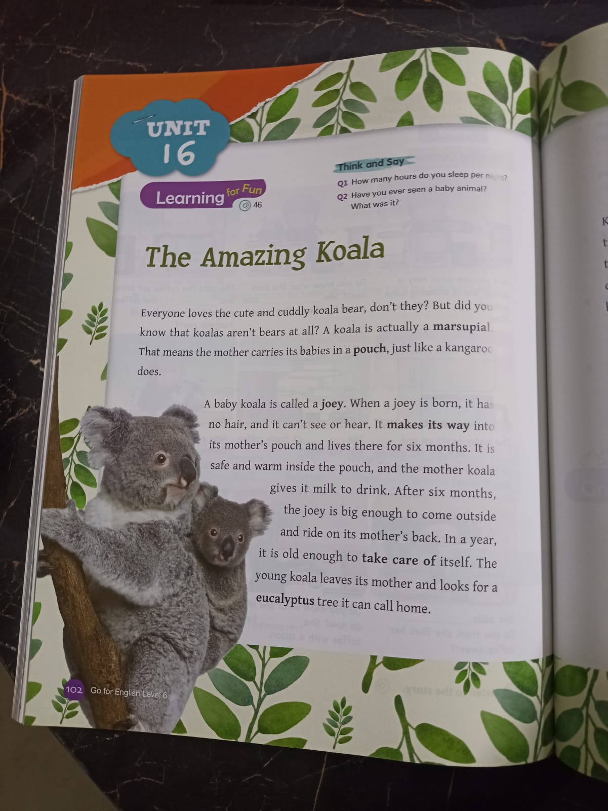 Go For English – Book 6 & Workbook 6