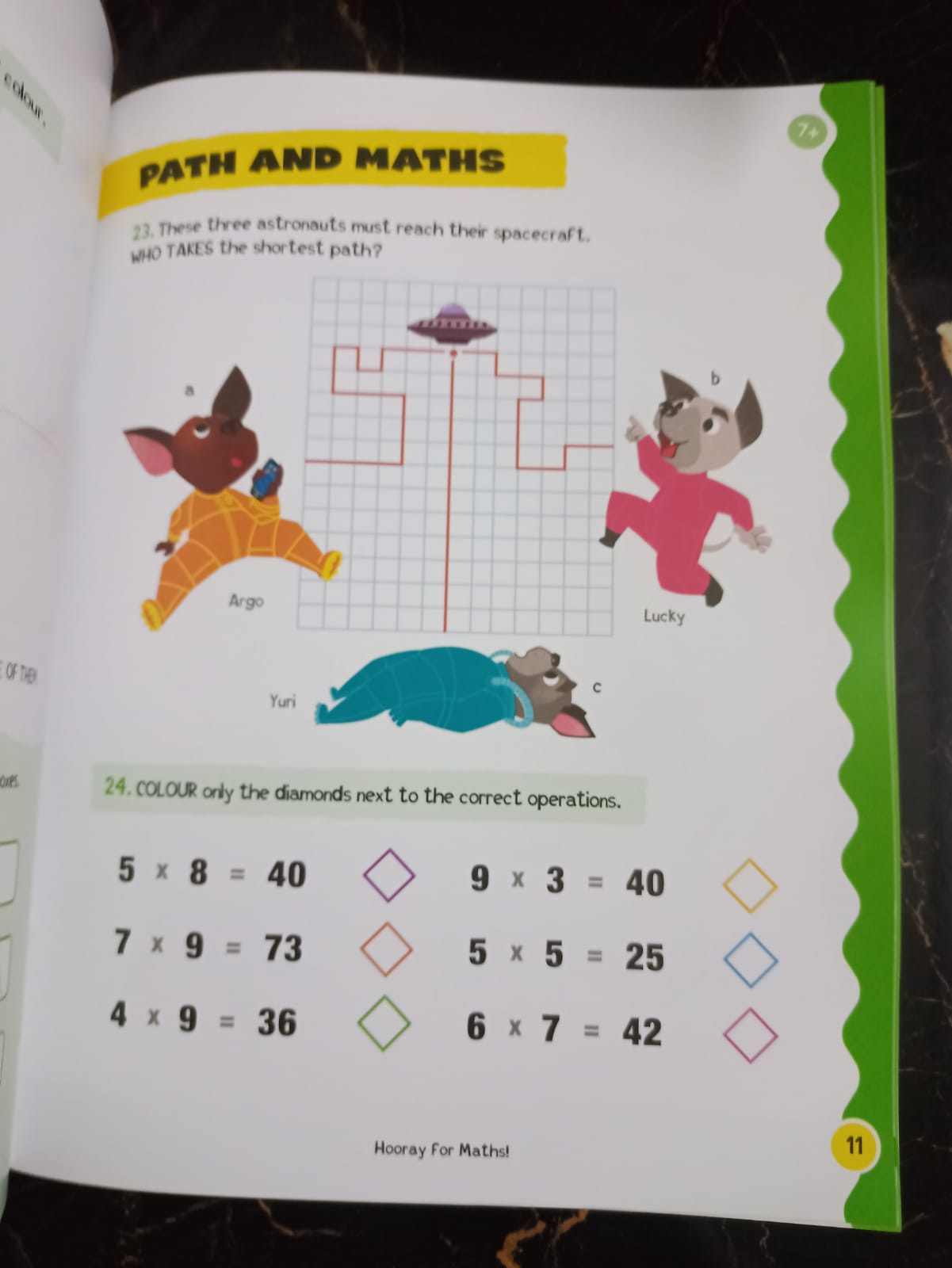HOORAY FOR MATHS 7+YEARS