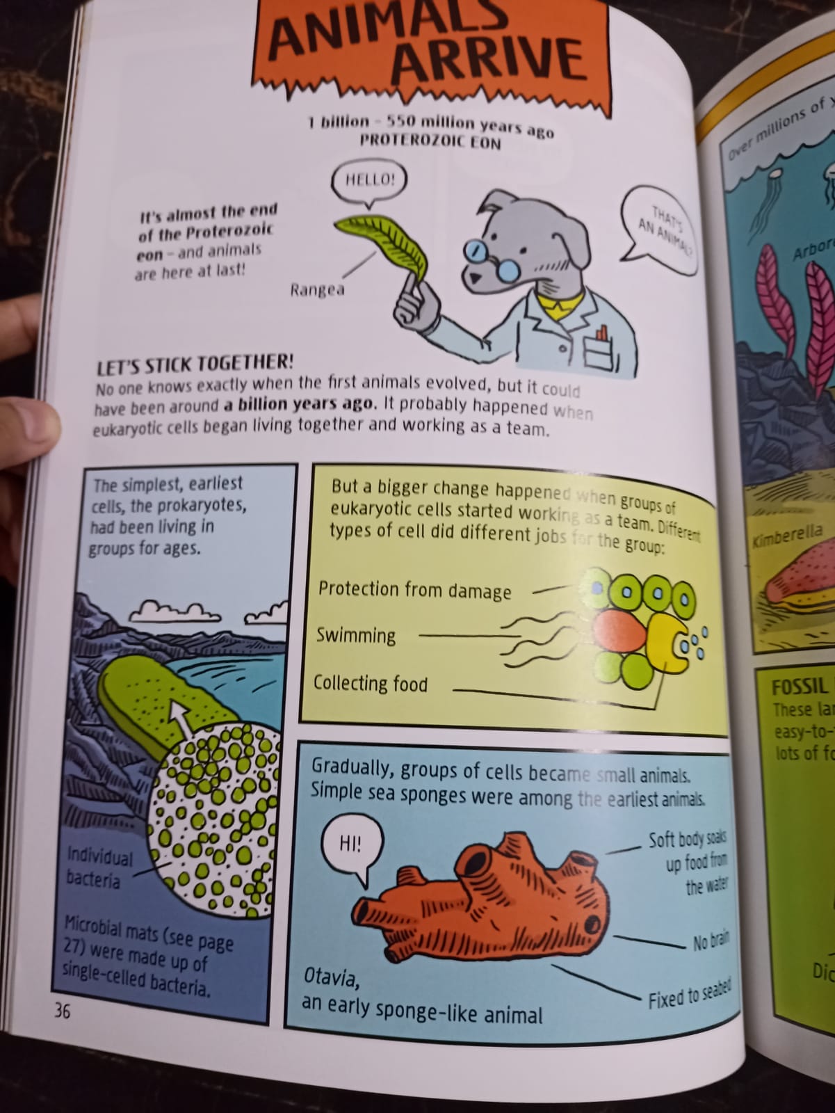 🌍📚 A Comic Strip History of Planet Earth 🌋🦕✨