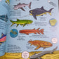 🌍📚 A Comic Strip History of Planet Earth 🌋🦕✨