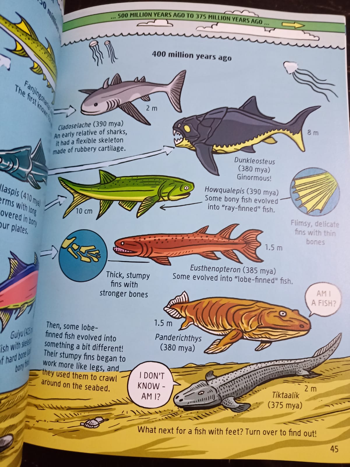 🌍📚 A Comic Strip History of Planet Earth 🌋🦕✨