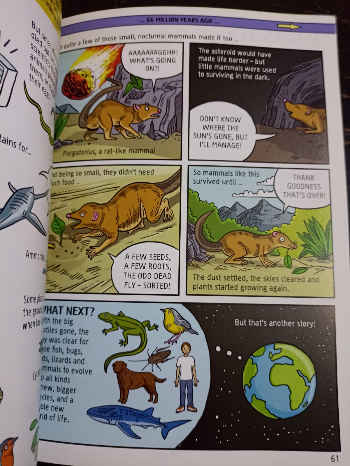 🌍📚 A Comic Strip History of Planet Earth 🌋🦕✨