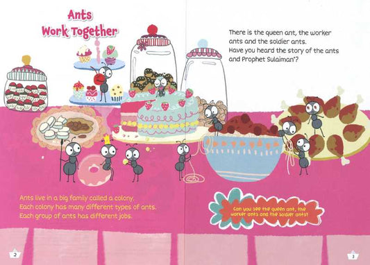 Prophet Sulaiman A.S And the Talking Ants