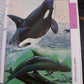 Fantastic World of Animals