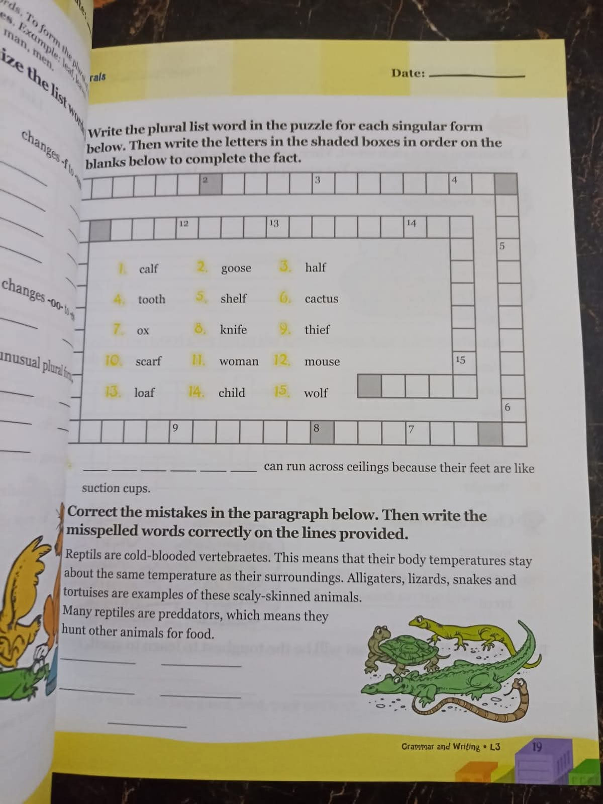 Grammr amd Writing L3