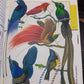 Fantastic World of Animals