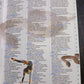 Oxford Illustrated Children's Dictionary and Thesaurus