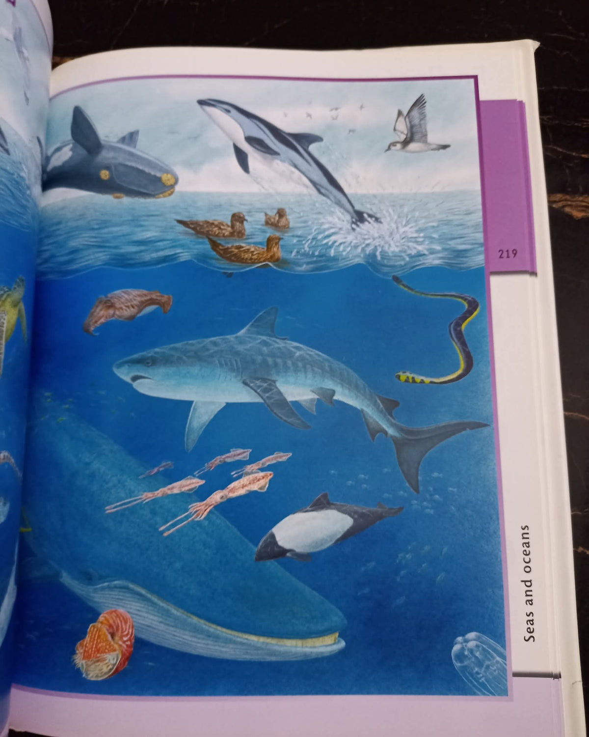 Fantastic World of Animals