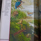 Fantastic World of Animals