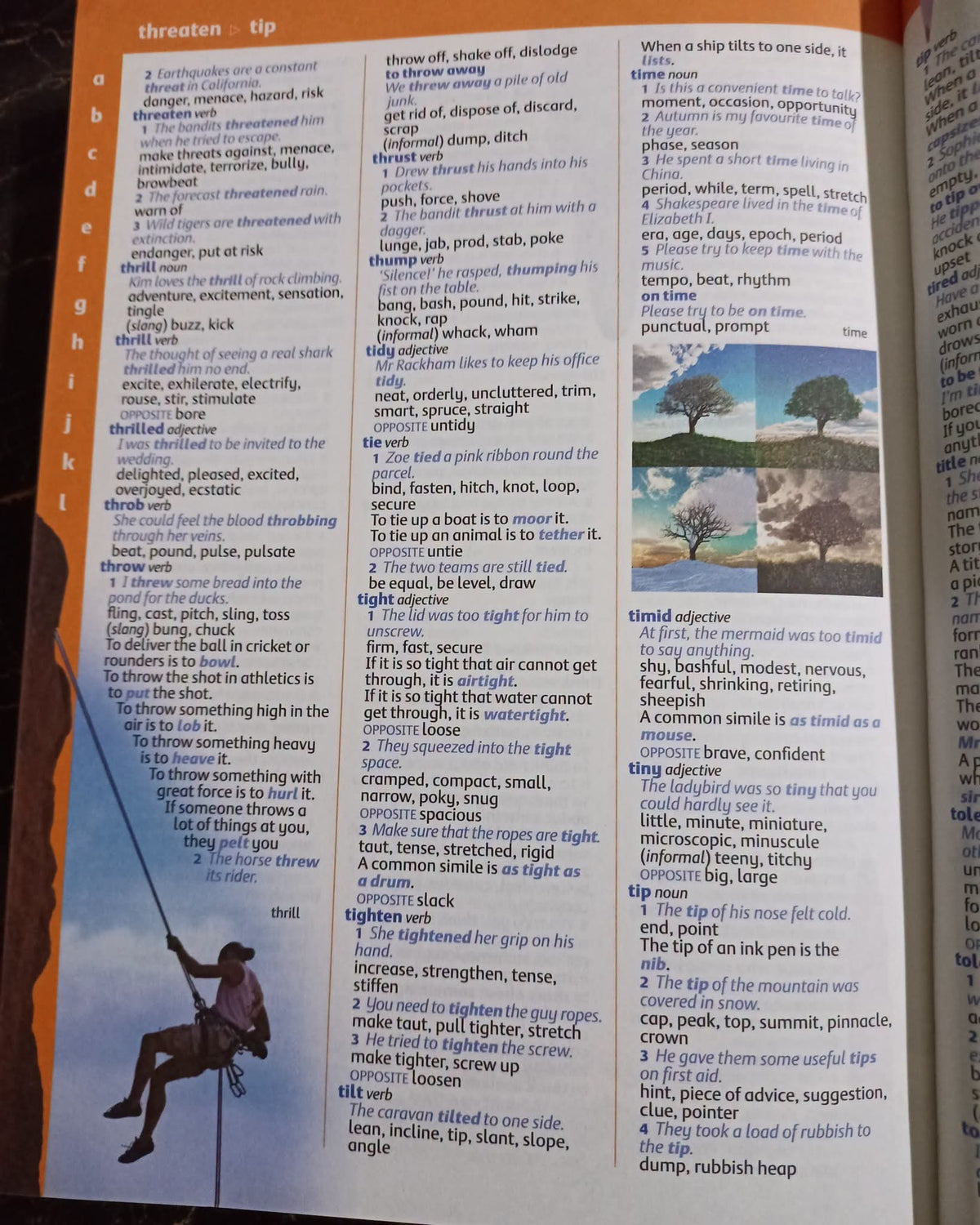 Oxford Illustrated Children's Dictionary and Thesaurus