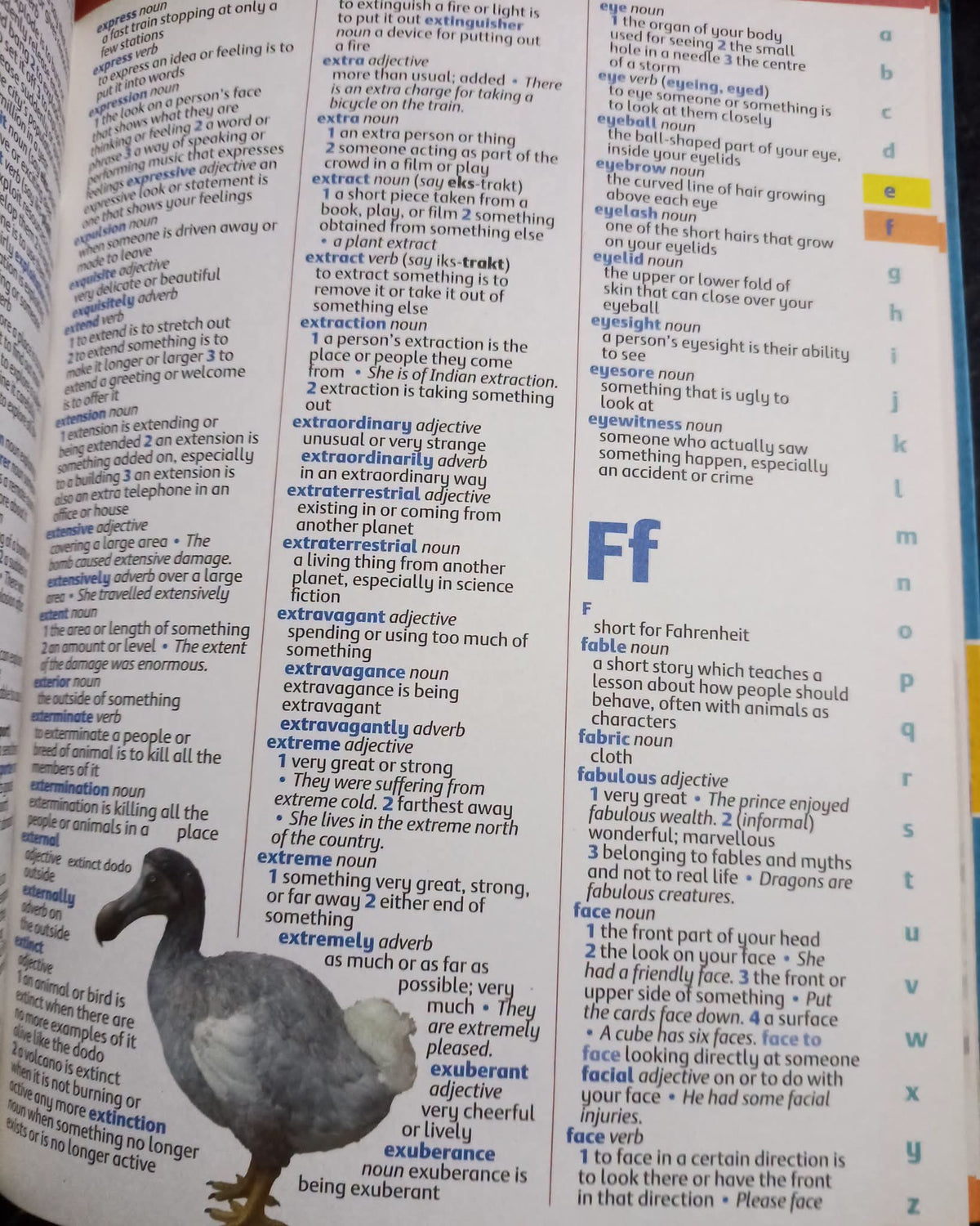 Oxford Illustrated Children's Dictionary