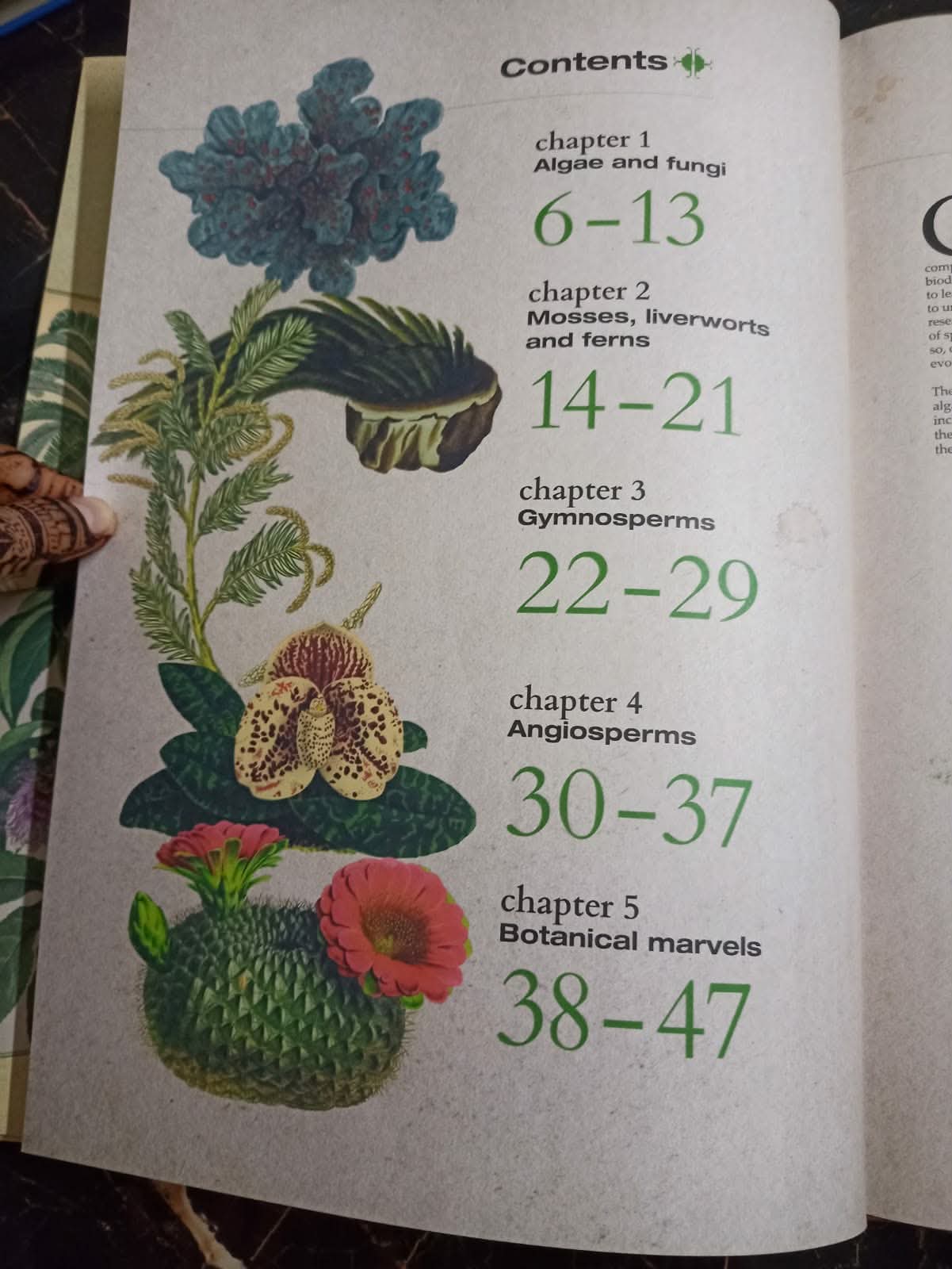 ILLUSTRATED BOTANY (The Visual Plant Museum)