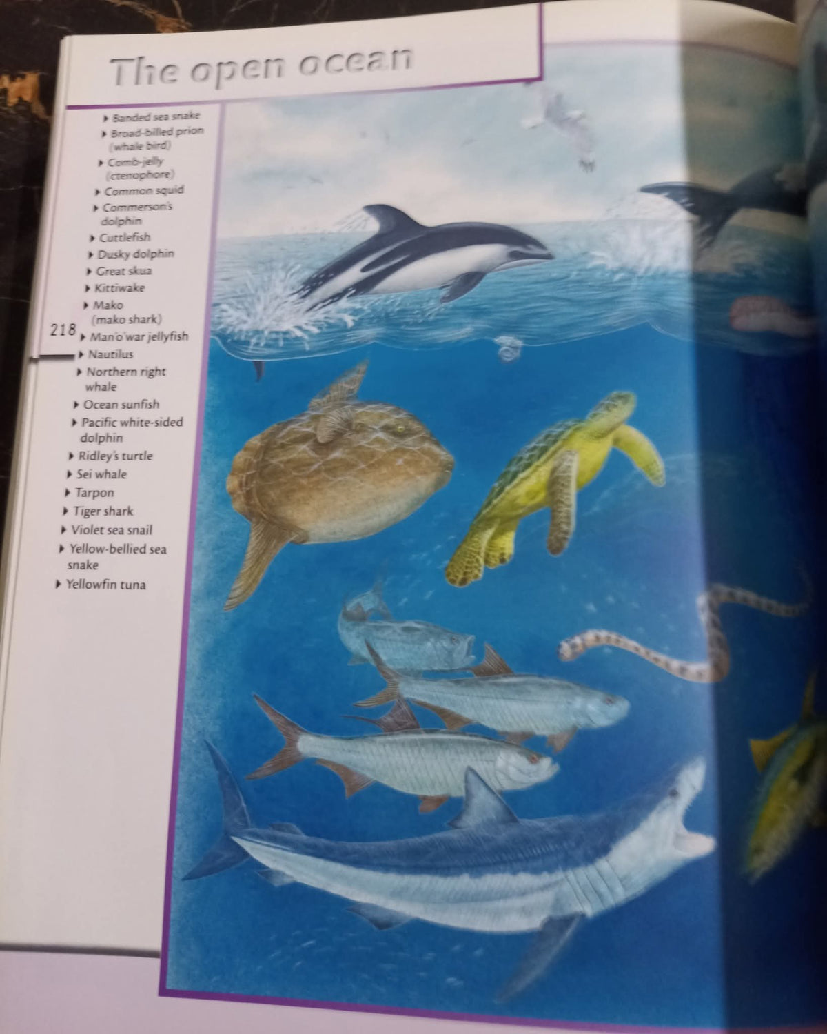 Fantastic World of Animals