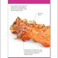 DK Rocks and Minerals flash cards