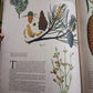 ILLUSTRATED BOTANY (The Visual Plant Museum)