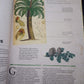 ILLUSTRATED BOTANY (The Visual Plant Museum)