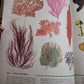 ILLUSTRATED BOTANY (The Visual Plant Museum)