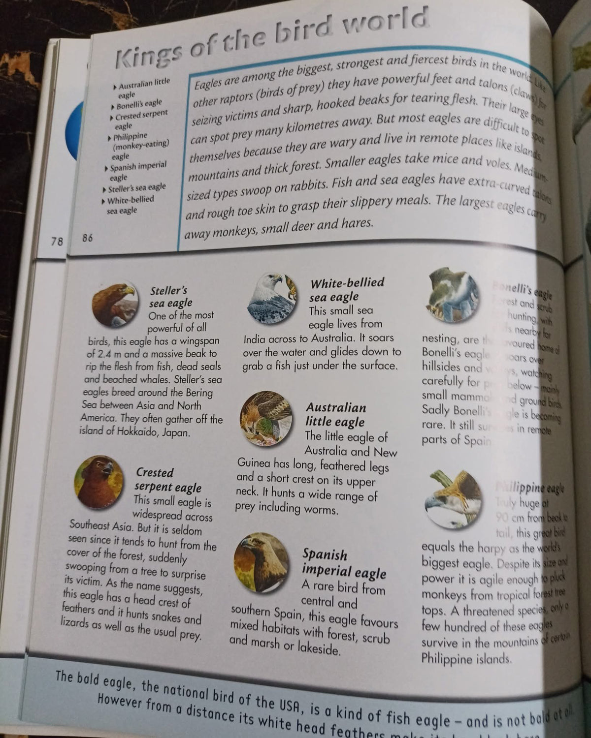 Fantastic World of Animals