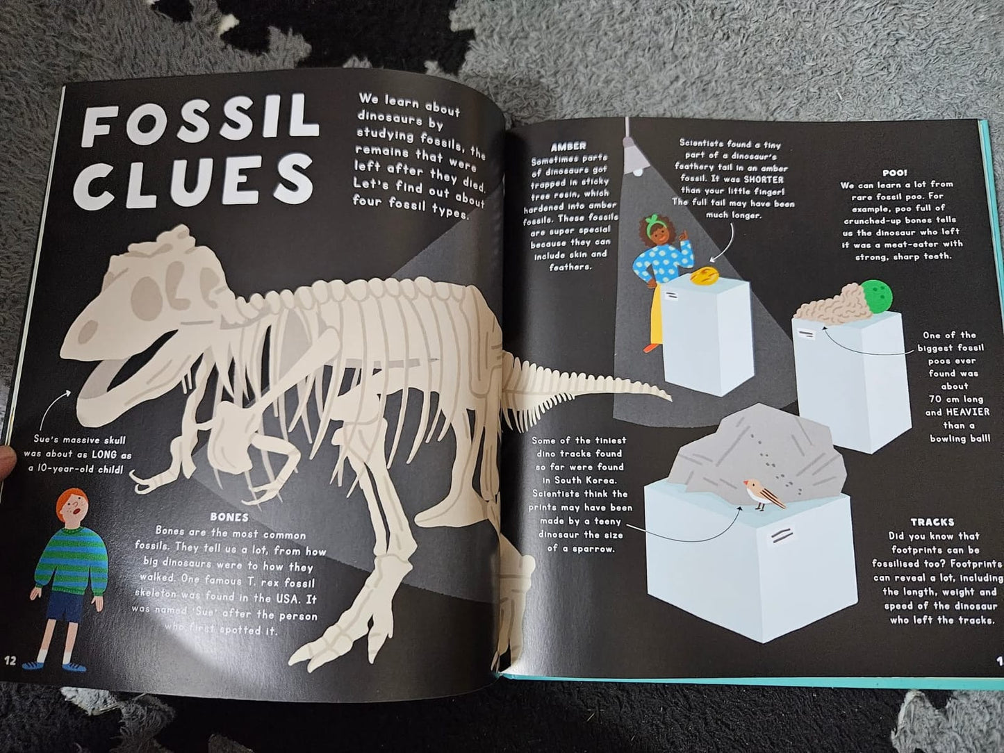 MY FIRST BOOK OF DINOSAUR COMPARISON