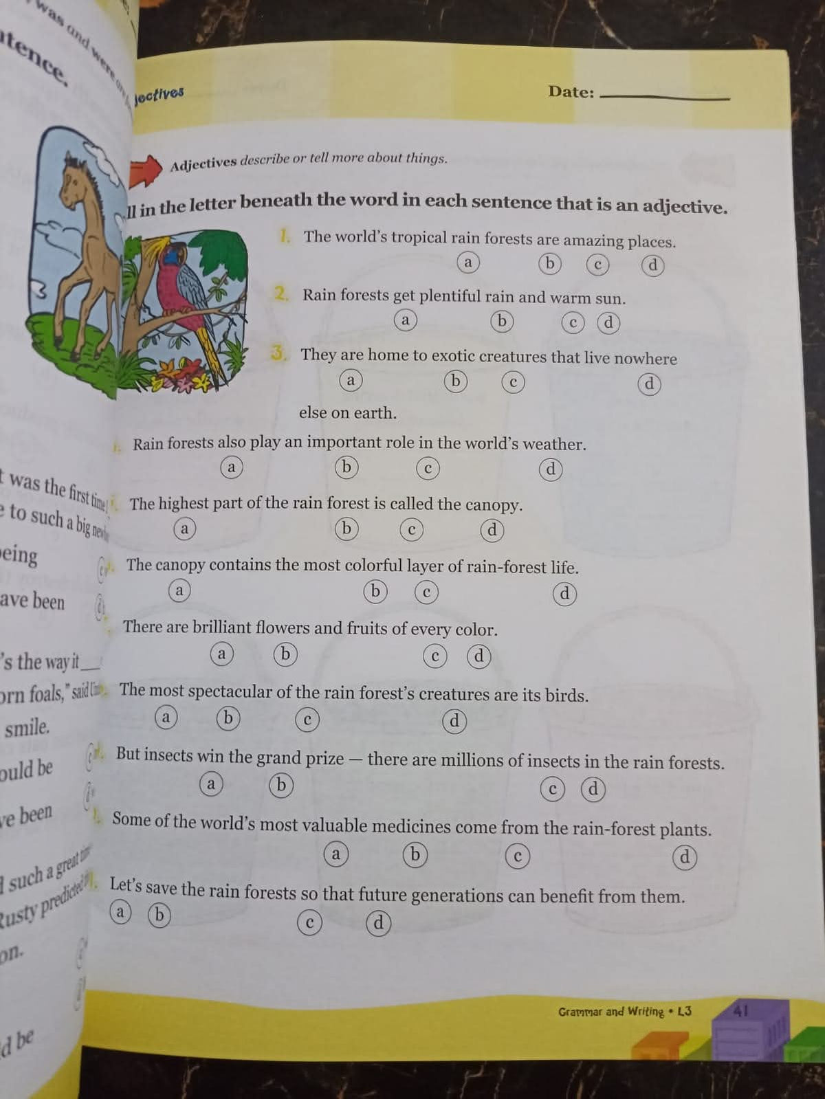 Grammr amd Writing L3